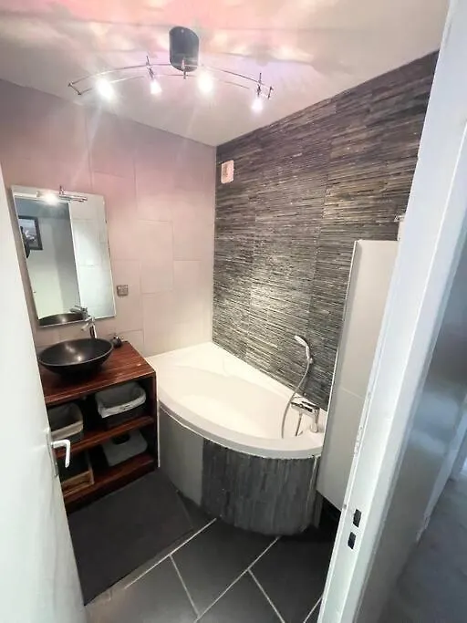 Grand Appartement Idealement Situe Villeurbanne 0*,