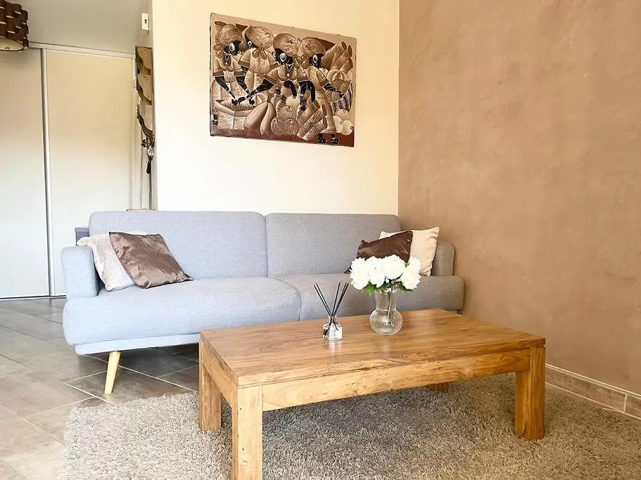 Grand Appartement Idealement Situe Villeurbanne