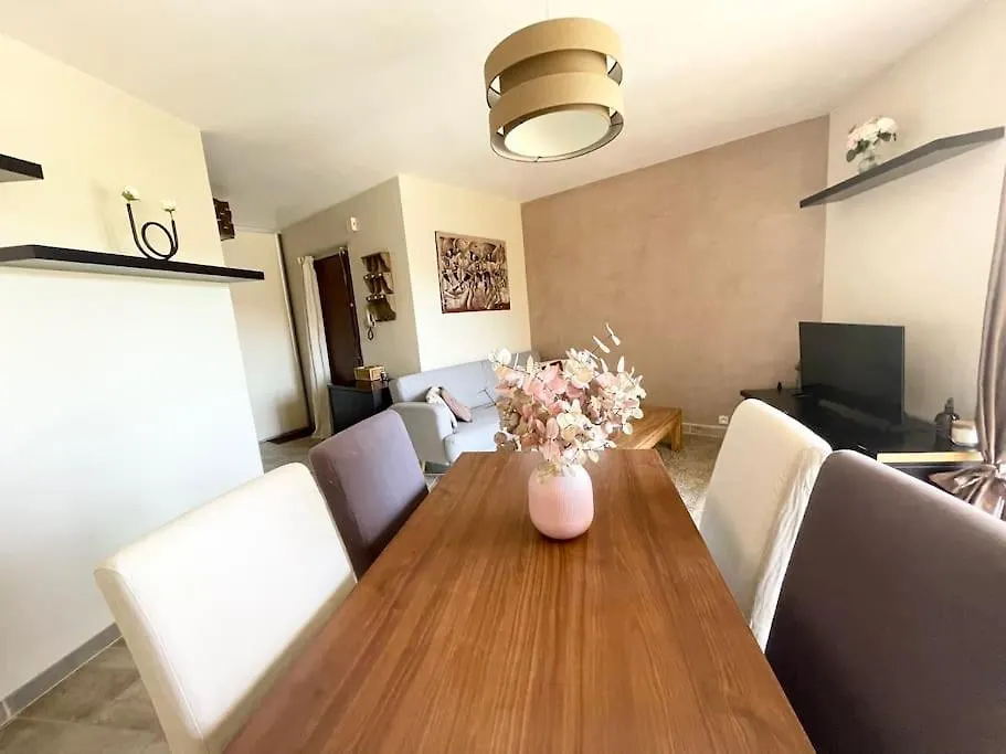 Apartment Grand Appartement Idealement Situe Villeurbanne