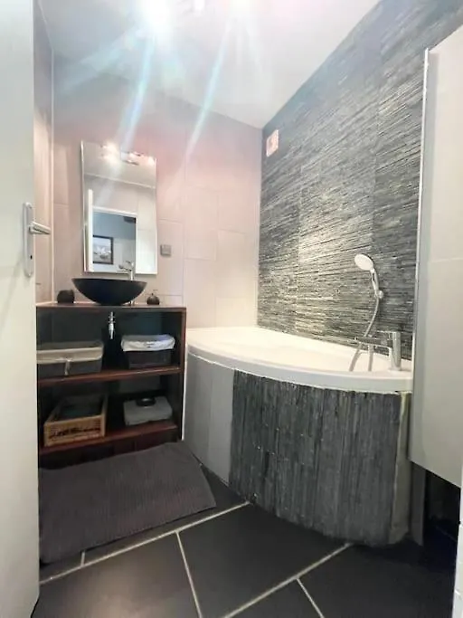 Grand Appartement Idealement Situe Villeurbanne Apartment