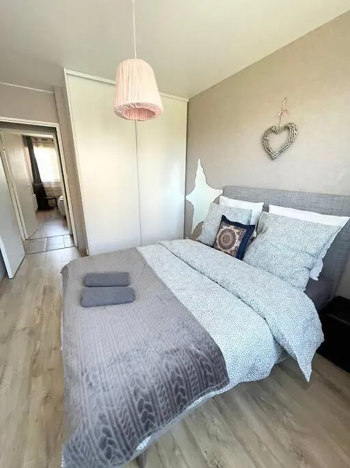 Grand Appartement Idealement Situe Villeurbanne Apartment