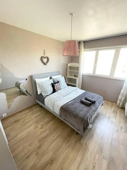 Grand Appartement Idealement Situe Villeurbanne