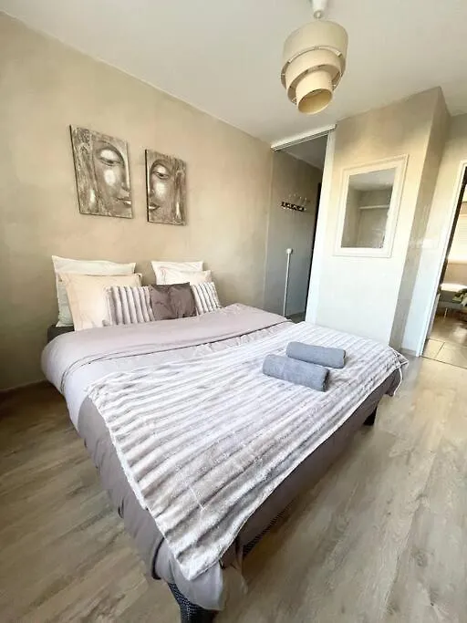 Apartment Grand Appartement Idealement Situe Villeurbanne