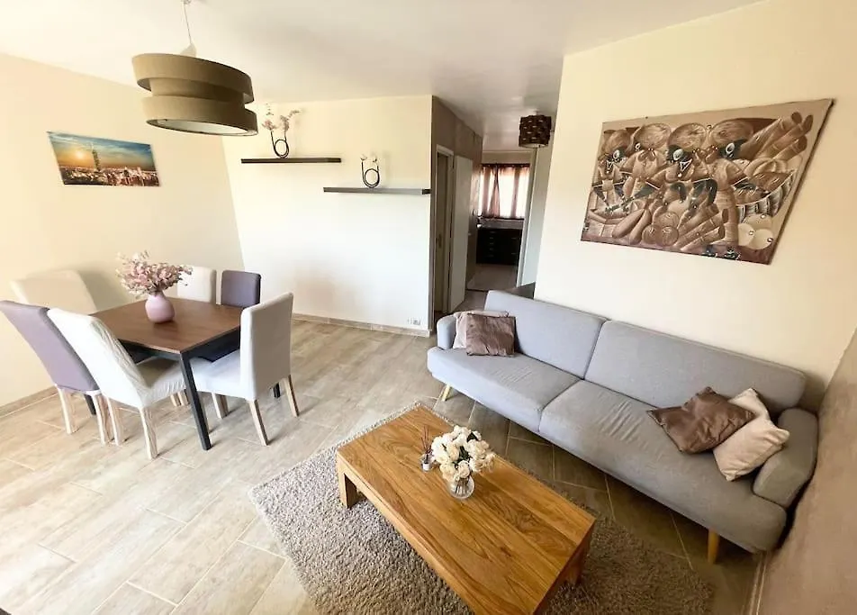Grand Appartement Idealement Situe Villeurbanne