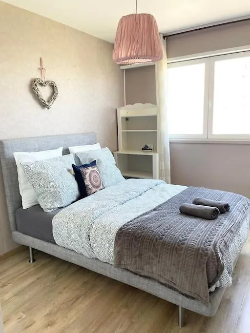 Grand Appartement Idealement Situe Villeurbanne France